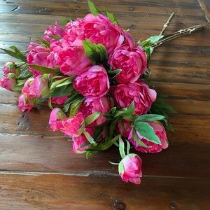 Absolutely Beautiful Pink Peonies